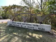 Point Pelee National Park to Close for Annual Deer Cull in November 2025
