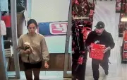Police Seek Public Help in Tecumseh Theft Investigation