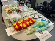 Police Seize $1M in Illegal Drugs in Brampton Trafficking Probe