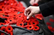 Poll: 70% of Canadians Plan to Observe Remembrance Day 2025