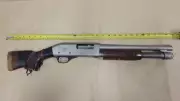 RCMP Seize Loaded Shotgun in Targeted Attack East of Edmonton | Strathcona County Investigation
