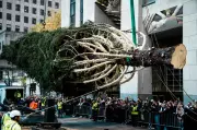 Rockefeller Center Christmas Tree Arrives in NYC for 2025 Holiday Season