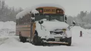 Snow Squalls Force Widespread School Bus Cancellations in Simcoe County
