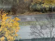 Surrey Residents Fight Costco Plan Over Environmental Concerns