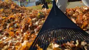 Tecumseh Extends Yard Waste Collection for Residents