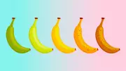 The Ultimate Banana Guide: Unlocking the Hidden Health Benefits at Every Stage of Ripeness