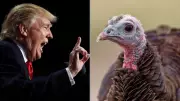 Trump's Thanksgiving 'Surroundings' Remark Sparks Online Mockery