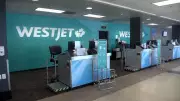 WestJet Reconnects London and Winnipeg with New Spring 2026 Route