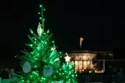 White House Holiday Festivities Proceed Despite Ballroom Renovations