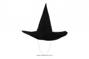 Wicked Witch Hat from 'The Wizard of Oz' Up for Auction