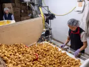 Wing Noodles Closes After 80 Years: End of Montreal Fortune Cookie Era