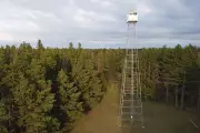 Winnipeg Fire Tower Removed from Manitoba Community After Decades