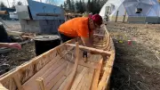 Wolastoqey Traditions Revived: Students Build Birchbark Canoe to Preserve Indigenous Heritage