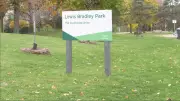 Woman Critical After Coyote Attack at Mississauga Park