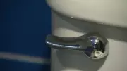 World Toilet Day 2025: Edmonton Urges Responsible Flushing Habits