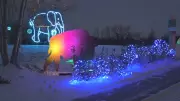 Zoominescence: Edmonton Valley Zoo's 13th Annual Light Festival Returns