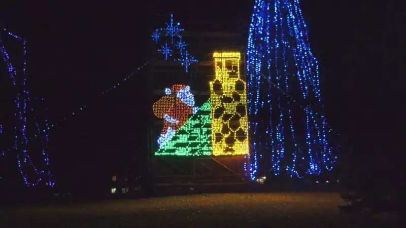 10 Festive Activities to Experience in Calgary This Weekend