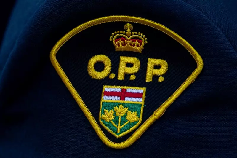10-Year-Old Child Dies in Collision with OPP Cruiser in Eastern Ontario