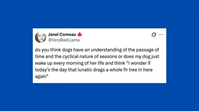 15 Hilarious Pet Posts to Brighten Your Week in Canada