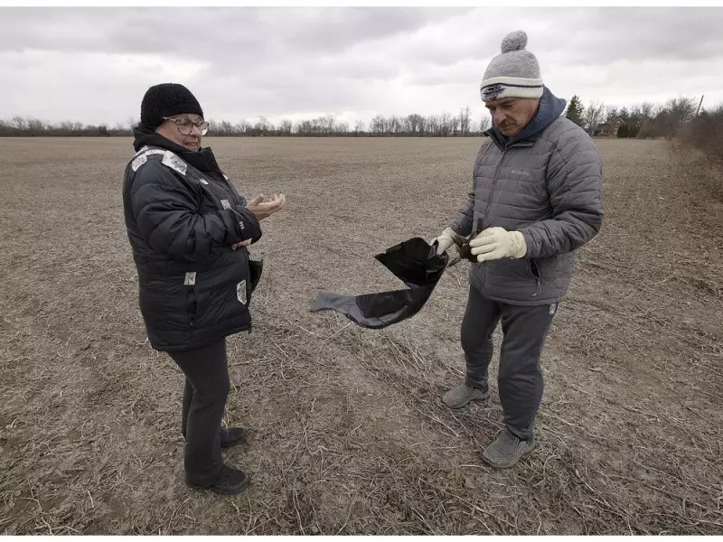 19 Dead Ducks Dumped in Tecumseh: Residents Stunned by Bizarre Discovery