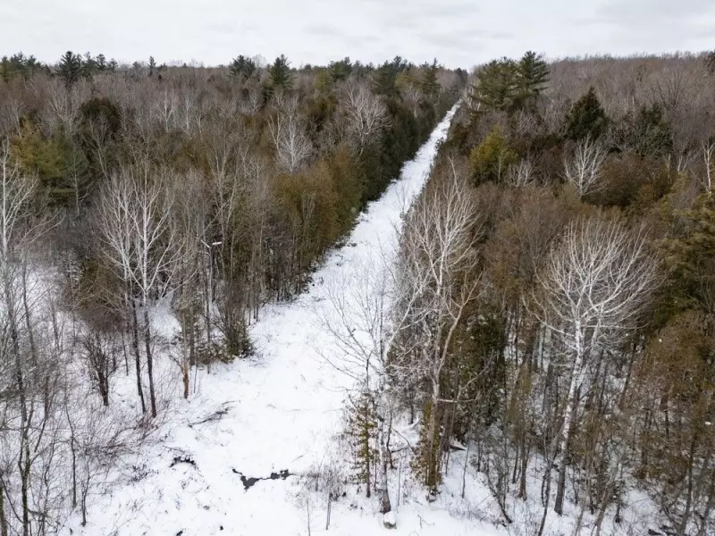 19 Haitian Asylum Seekers Deported to U.S. After Christmas Day Border Crossing in Quebec