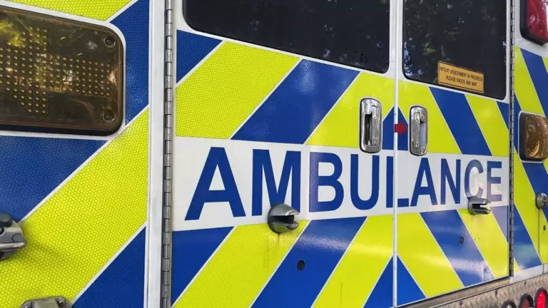 5 Students Hospitalized in North Edmonton Hit-and-Run Involving Multiple Vehicles