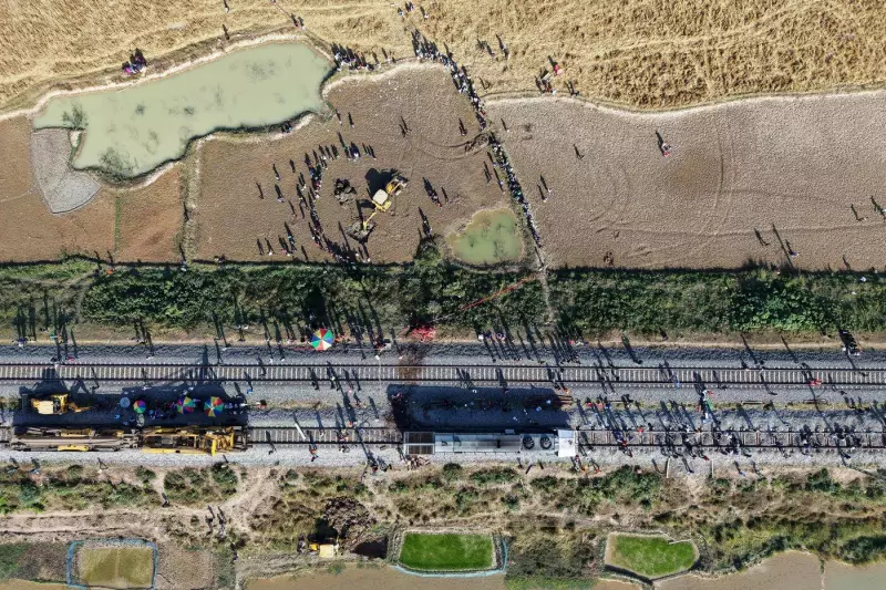 7 Asiatic Elephants Killed by High-Speed Train in Northeast India