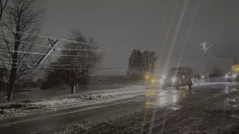 7 Injured as Fredericton Transit Bus Overturns Into Ditch