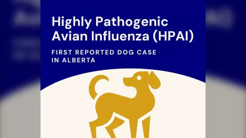 Alberta Dog Dies from Avian Influenza, Confirms SPCA