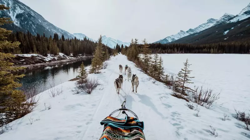 Alberta Winter Adventures 2025: Dog Sledding, Elites Tryouts & Festive Fun