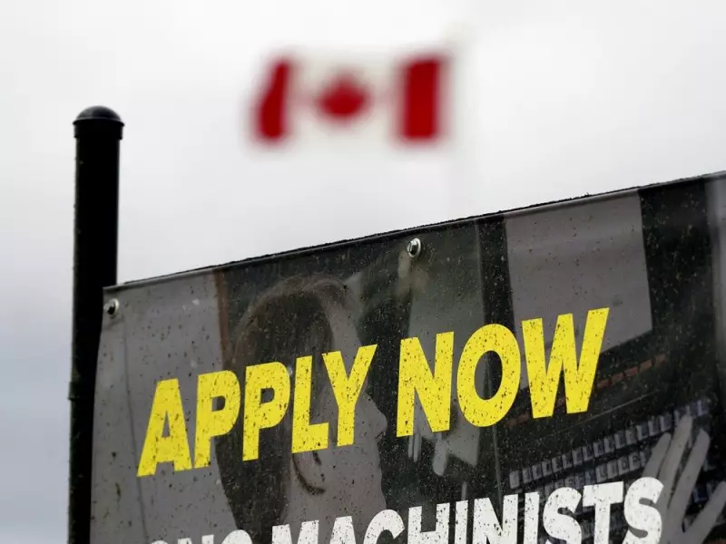 Alberta's Job Boom: Unemployment Plunges to 6.5% in Historic 3-Month Surge