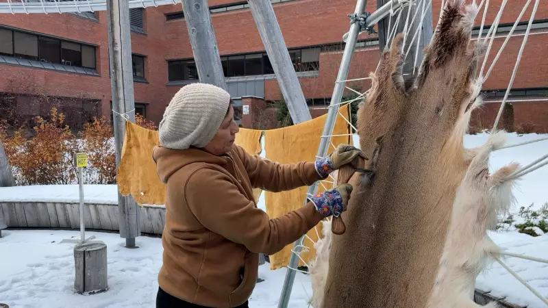Algonquin College Hosts Indigenous Deer Hide Tanning Workshop