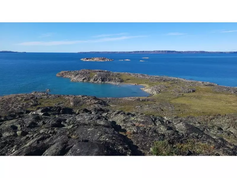 Arctic Development Surges as Canada's Ocean Noise Strategy Stalls