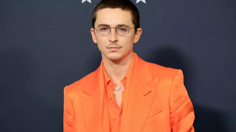 Avatar & Chalamet Lead Strong Holiday Box Office in Tumultuous Year