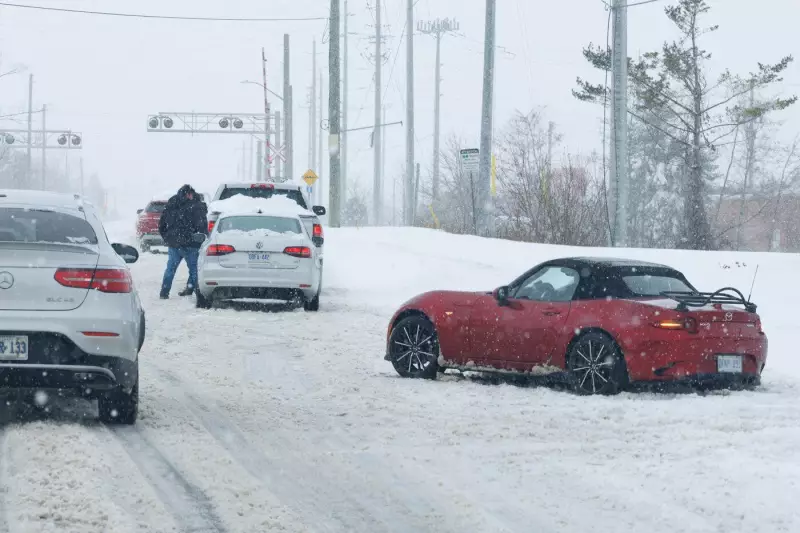 Barrie Buried: City Digs Out After 43cm Snowfall in Three-Day Winter Blast