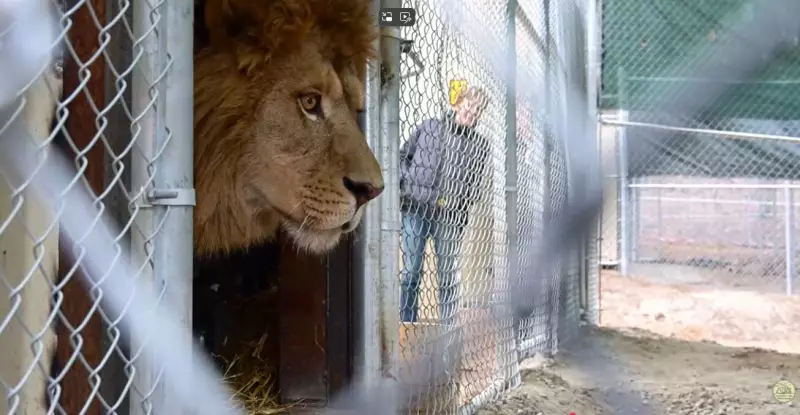 Barrie-Muskoka Facility Becomes Canada's First-of-its-Kind Sanctuary