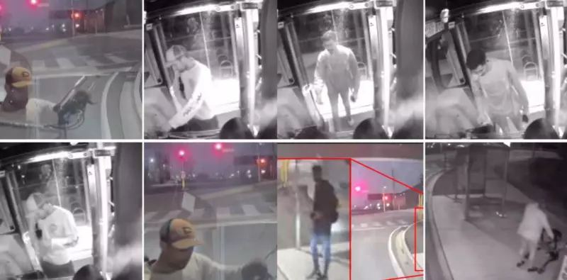 Barrie Police Seek Witnesses to Summer Assault That Left Woman Seriously Injured