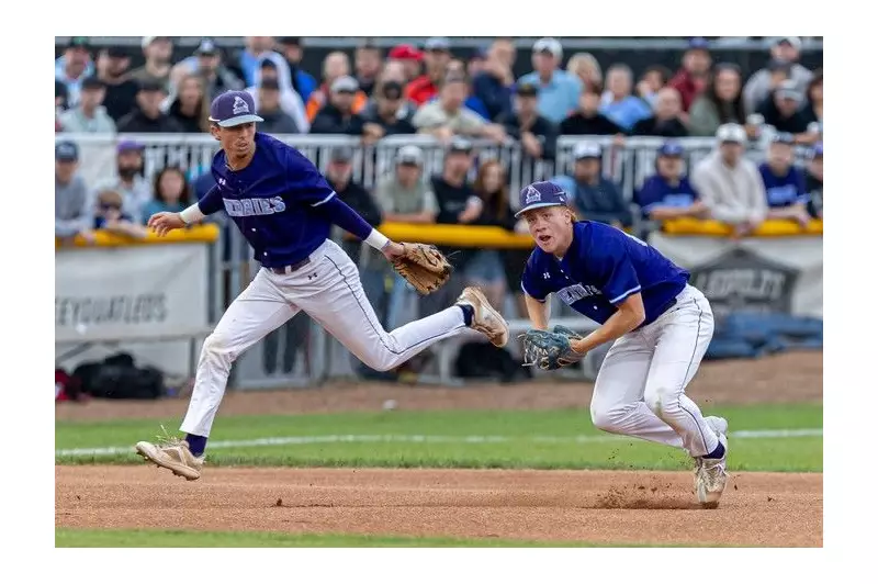 Baseball's Aging Crisis Offers Lessons for Canadian Health Care Reform