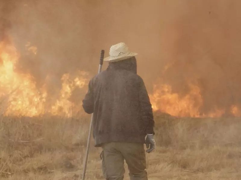 B.C. Climate Update: Eby's Pipeline Proposal & 6% Food Price Hike