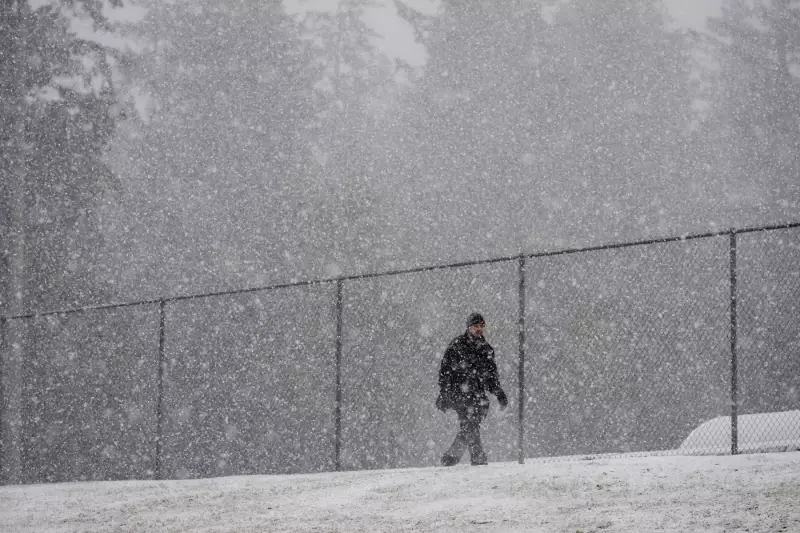 B.C. Interior Braces for Heavy Snow and Freezing Rain: Warnings Issued