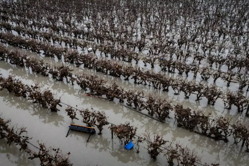 B.C. Poultry Farmers Face 'Awful Cleanup' After Devastating Abbotsford Flooding