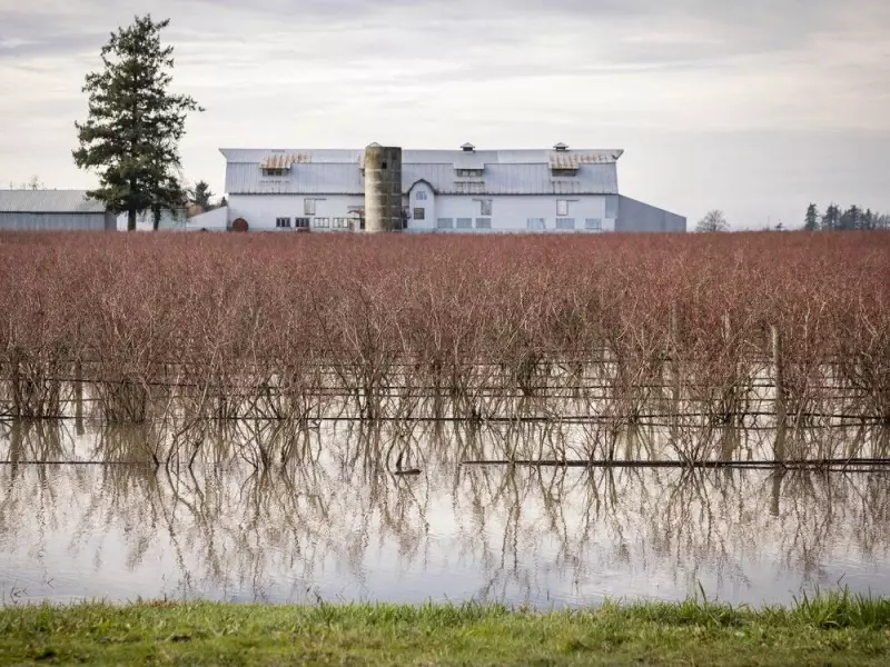 B.C. Urges Ottawa to Fund Flood Plan as Fraser Valley Faces Repeated Deluge