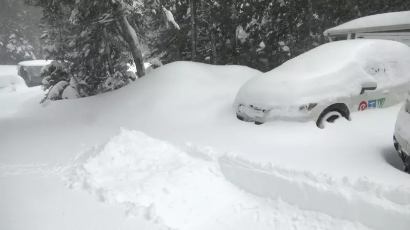 Blizzard Paralyzes Timmins: 60 cm of Snow, 'Significant Weather Event' Declared