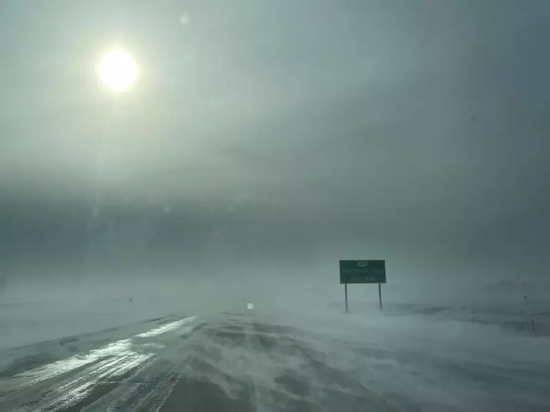 Blizzard Sweeps Manitoba: Winnipeg Braces as Winter Storm Hits Province