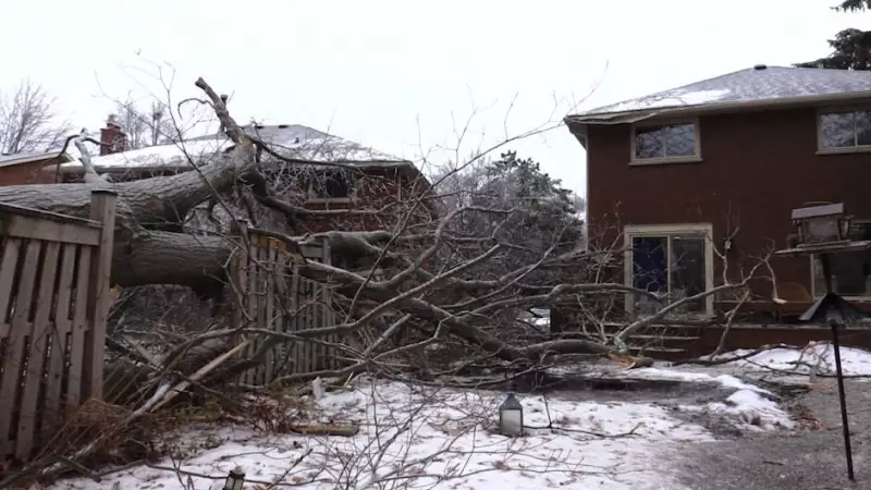 Boxing Day Ice Storm Plunges Thousands into Darkness, Damages Homes in London, Ont.