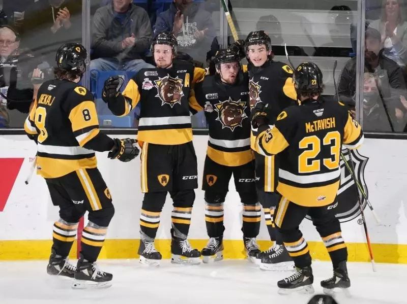 Brantford Bulldogs Secure New Arena, Pledge to Stay 'Forever' After Council Approval