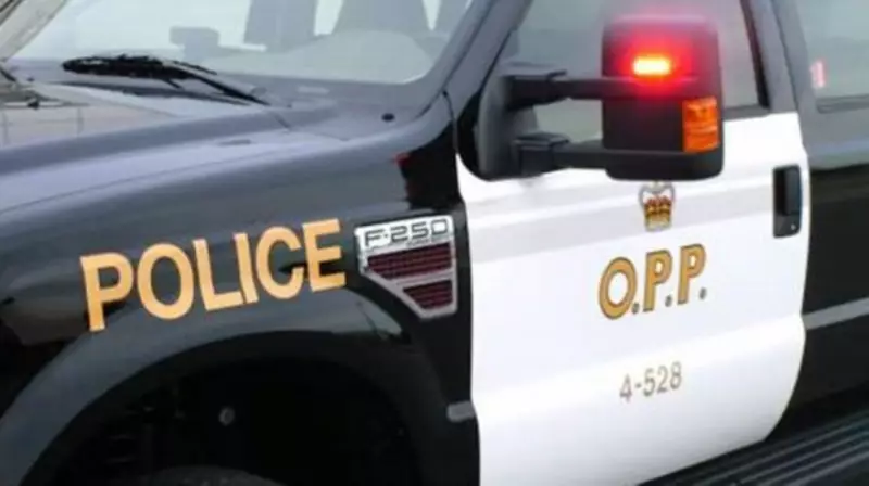 Brantford Driver Faces Careless Driving Charge After Hydro Pole Crash