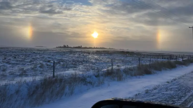 Calgary Braces for Deep Freeze: Monday Expected to Be Coldest Day in Coming Week