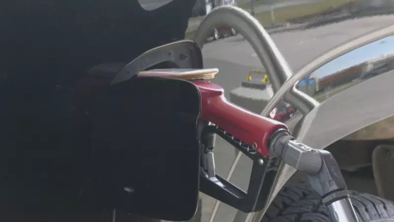 Calgary Gas Prices Plunge Below $1 per Litre Amid Oil Price Drop