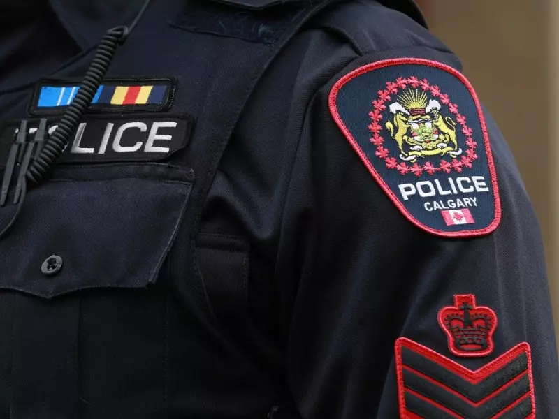 Calgary Man Charged in Animal Abuse Case After Stealing Dog from Humane Society